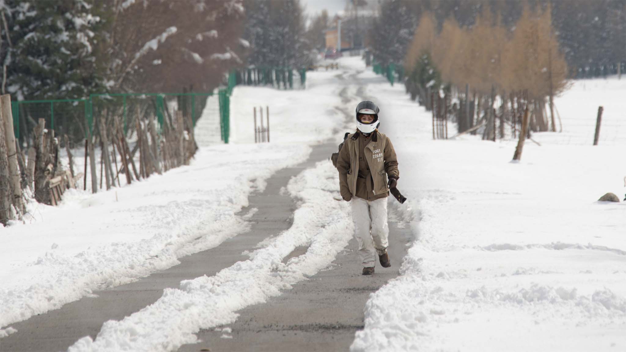 Winter Selection